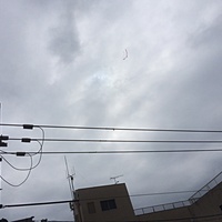 鍼灸予約 9月6日(水) 曇りのち雨 最高気温30℃(京都の鍼灸院　泰楽)サムネイル