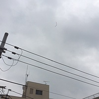 鍼灸予約 9月7日(木) 曇りのち雨 最高気温30℃(京都の鍼灸院　泰楽)サムネイル