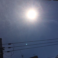 鍼灸予約 9月9日(土) 晴れのち曇り 最高気温32℃(京都の鍼灸院　泰楽)サムネイル