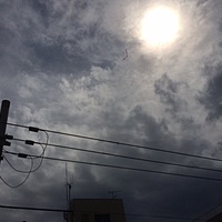 鍼灸予約 9月11日(月) 曇りのち雨 最高気温30℃(京都の鍼灸院　泰楽)サムネイル