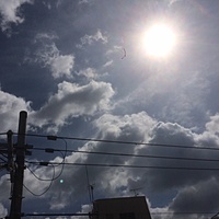 鍼灸予約 9月13日(水) 晴れのち曇り 最高気温31℃(京都の鍼灸院　泰楽)サムネイル