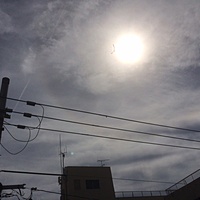 鍼灸予約 9月15日(金) 曇り時々晴れ 最高気温28℃(京都の鍼灸院　泰楽)サムネイル