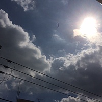 鍼灸予約 9月19日(火) 晴れのち曇り 最高気温30℃(京都の鍼灸院　泰楽)サムネイル