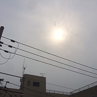 鍼灸予約 9月20日(水) 曇り 最高気温29℃(京都の鍼灸院　泰楽)サムネイル