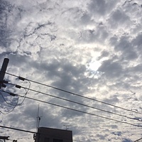 鍼灸予約 9月27日(水) 曇りのち雨 最高気温28℃(京都の鍼灸院　泰楽)サムネイル