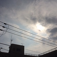 鍼灸予約 10月11日(水) 晴れのち曇り 最高気温30℃(京都の鍼灸院　泰楽)サムネイル