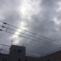 鍼灸予約 10月23日(月) 雨のち曇り 最高気温17℃(京都の鍼灸院　泰楽)サムネイル