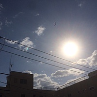 鍼灸予約 10月30日(月) 曇り 最高気温16℃(京都の鍼灸院　泰楽)サムネイル
