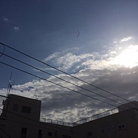 鍼灸予約 11月11日(土) 曇り 最高気温17℃(京都の鍼灸院　泰楽)サムネイル