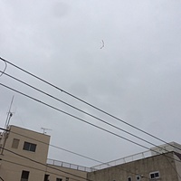 鍼灸予約 11月14日(火) 曇りのち雨 最高気温16℃(京都の鍼灸院　泰楽)サムネイル