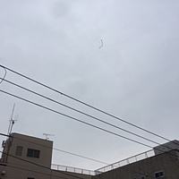 鍼灸予約 11月29日(水) 曇りのち雨 最高気温17℃(京都の鍼灸院　泰楽)サムネイル