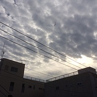 鍼灸予約 12月4日(月) 曇りのち雨 最高気温13℃(京都の鍼灸院　泰楽)サムネイル