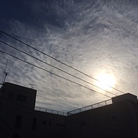 鍼灸予約 12月5日(火) 晴れのち曇り 最高気温10℃(京都の鍼灸院　泰楽)サムネイル