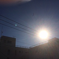 鍼灸予約 12月6日(水) 晴れのち曇り 最高気温9℃(京都の鍼灸院　泰楽)サムネイル