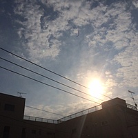 鍼灸予約 12月11日(月) 晴れのち曇り 最高気温10℃(京都の鍼灸院　泰楽)サムネイル