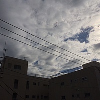 鍼灸予約 12月13日(水) 曇りのち雪 最高気温7℃(京都の鍼灸院　泰楽)サムネイル