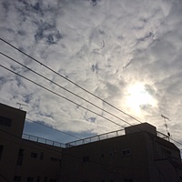 鍼灸予約 12月15日(金) 晴れのち曇り 最高気温10℃(京都の鍼灸院　泰楽)サムネイル