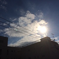 鍼灸予約 12月25日(月) 晴れ 最高気温10℃(京都の鍼灸院　泰楽)サムネイル
