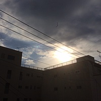 鍼灸予約 12月26日(火) 晴れのち曇り 最高気温8℃(京都の鍼灸院　泰楽)サムネイル