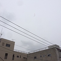 鍼灸予約 1月5日(金) 曇り 最高気温6℃(京都の鍼灸院　泰楽)サムネイル