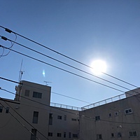 鍼灸予約 2月7日(水) 曇りのち晴れ 最高気温4℃(京都の鍼灸院　泰楽)サムネイル