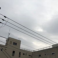 鍼灸予約 2月10日(土) 曇りのち雨 最高気温8℃(京都の鍼灸院　泰楽)サムネイル