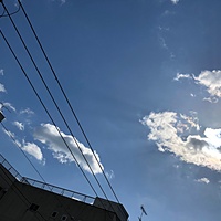 鍼灸予約 2月13日(火) 晴れのち曇り 最高気温6℃(京都の鍼灸院　泰楽)サムネイル