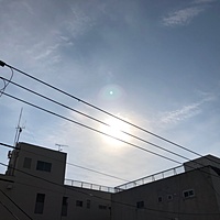 鍼灸予約 2月16日(金) 曇りのち晴れ 最高気温10℃(京都の鍼灸院　泰楽)サムネイル