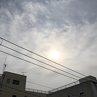 鍼灸予約 2月21日(水) 曇り 最高気温10℃(京都の鍼灸院　泰楽)サムネイル