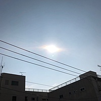 鍼灸予約 2月26日(月) 晴れ 最高気温13℃(京都の鍼灸院　泰楽)サムネイル