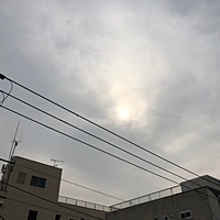 鍼灸予約 2月28日(水) 晴れのち雨 最高気温16℃(京都の鍼灸院　泰楽)サムネイル