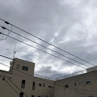 鍼灸予約 3月9日(金) 雨のち曇り 最高気温9℃(京都の鍼灸院　泰楽)サムネイル