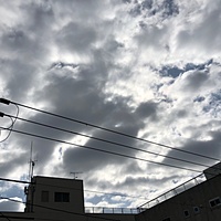 鍼灸予約 3月10日(土) 曇りのち晴れ 最高気温11℃(京都の鍼灸院　泰楽)サムネイル