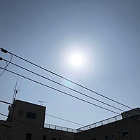 鍼灸予約 3月12日(月) 晴れ 最高気温16℃(京都の鍼灸院　泰楽)サムネイル