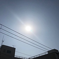 鍼灸予約 3月13日(火) 晴れ 最高気温20℃(京都の鍼灸院　泰楽)サムネイル