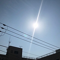鍼灸予約 3月15日(木) 晴れのち 雨最高気温22℃(京都の鍼灸院　泰楽)サムネイル