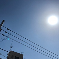 鍼灸予約 3月17日(土) 晴れ 最高気温14℃(京都の鍼灸院　泰楽)サムネイル