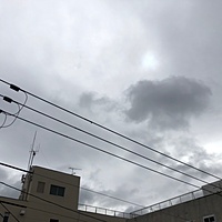鍼灸予約 3月22日(木) 曇り 最高気温13℃(京都の鍼灸院　泰楽)サムネイル