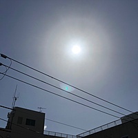 鍼灸予約 3月23日(金) 晴れ 最高気温15℃(京都の鍼灸院　泰楽)サムネイル