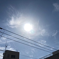 鍼灸予約 3月24日(土) 晴れのち曇り 最高気温17℃(京都の鍼灸院　泰楽)サムネイル