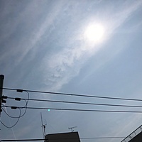 鍼灸予約 3月26日(月) 晴れ 最高気温22℃(京都の鍼灸院　泰楽)サムネイル
