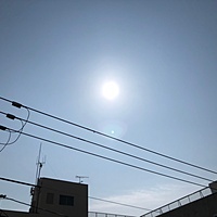 鍼灸予約 3月27日(火) 晴れ 最高気温23℃(京都の鍼灸院　泰楽)サムネイル