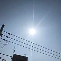 鍼灸予約 3月28日(水) 晴れ 最高気温25℃(京都の鍼灸院　泰楽)サムネイル