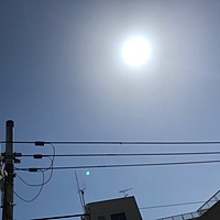 鍼灸予約 3月30日(金) 晴れ 最高気温17℃(京都の鍼灸院　泰楽)サムネイル