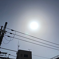鍼灸予約 3月31日(土) 晴れ 最高気温21℃(京都の鍼灸院　泰楽)サムネイル