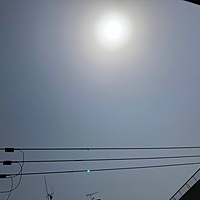 鍼灸予約 4月2日(月) 晴れ 最高気温24℃(京都の鍼灸院　泰楽)サムネイル