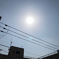 鍼灸予約 4月3日(火) 晴れ 最高気温26℃(京都の鍼灸院　泰楽)サムネイル