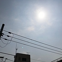 鍼灸予約 4月4日(水) 晴れのち曇り 最高気温25℃(京都の鍼灸院　泰楽)サムネイル