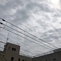 鍼灸予約 4月5日(木) 曇りのち晴れ 最高気温20℃(京都の鍼灸院　泰楽)サムネイル
