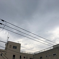 鍼灸予約 4月6日(金) 曇りのち晴れ 最高気温21℃(京都の鍼灸院　泰楽)サムネイル